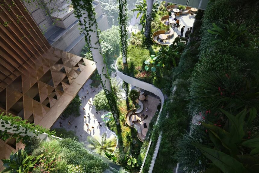 Rainforest terraces and public realm viewed from above