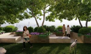 Architectural rendering of the Stanley Quarter rooftop garden spaces overlooking the Brisbane skyline from level 35.